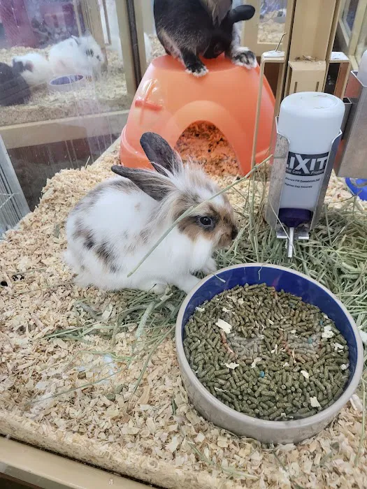 Pet Supermarket Picture 2