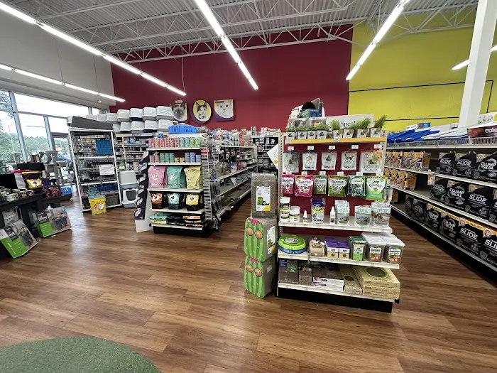 Pet Supermarket Picture 8
