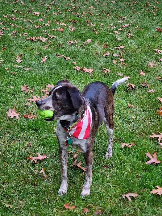 Apple Valley Veterinarians, LLC Picture 9