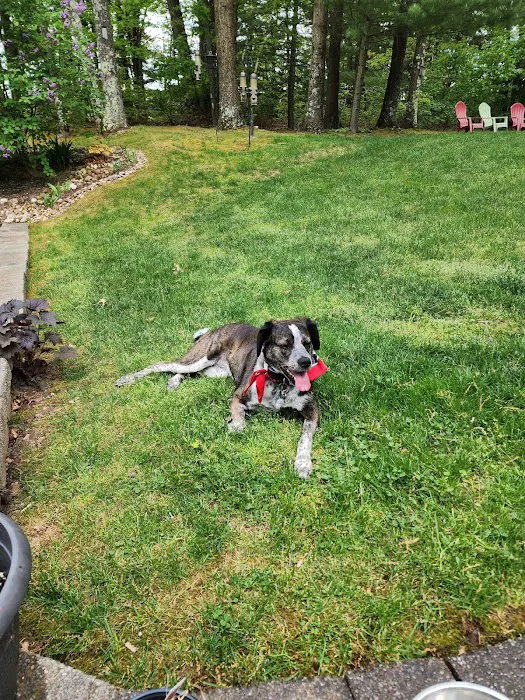 Apple Valley Veterinarians, LLC Picture 10