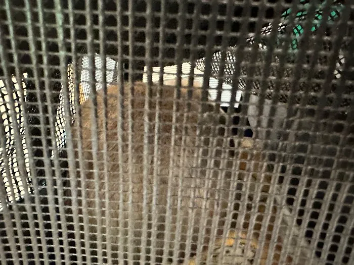 Sandbank Veterinary Hospital Picture 8