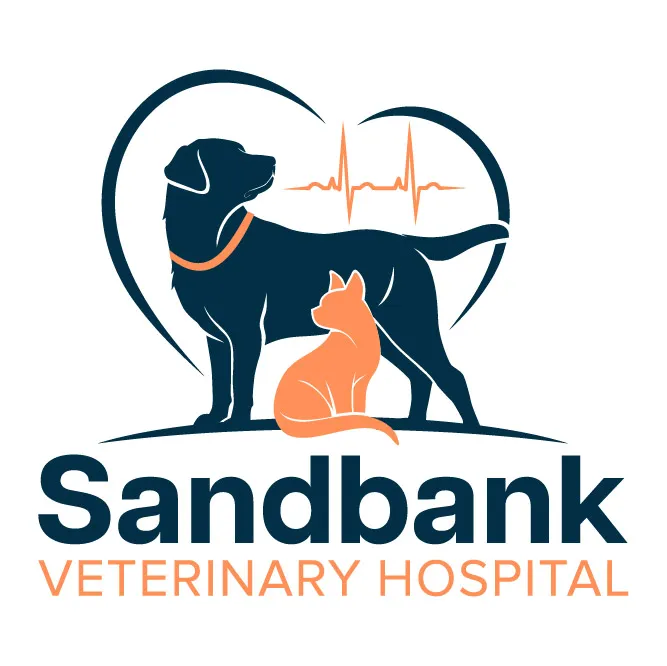 Sandbank Veterinary Hospital Picture 10