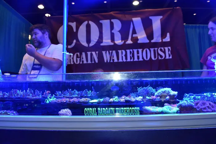 Coral Bargain Warehouse Picture 2