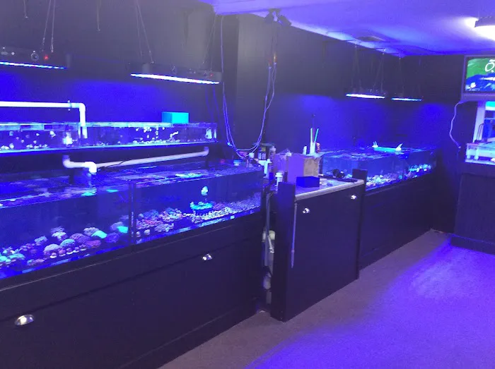 Coral Bargain Warehouse Picture 4