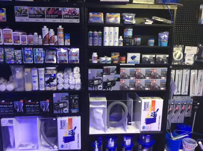 Coral Bargain Warehouse Picture 6