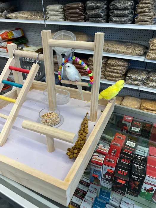 Gomez Pet Shop Picture 9