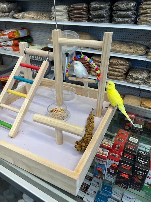 Gomez Pet Shop Picture 4