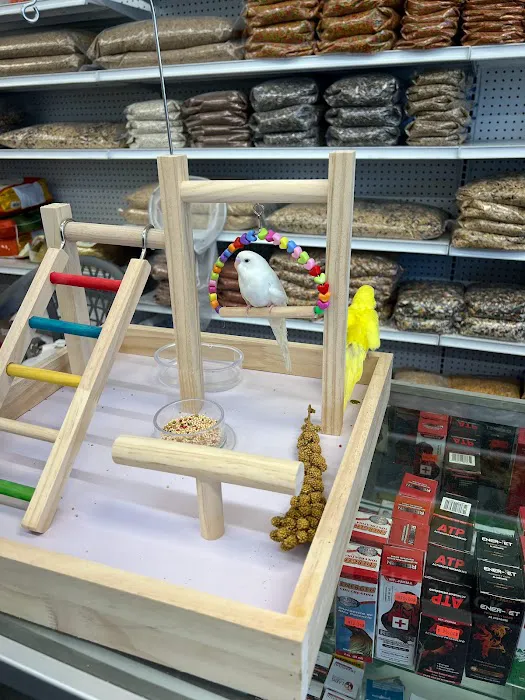 Gomez Pet Shop Picture 2