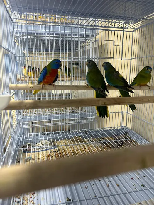 Gomez Pet Shop Picture 10