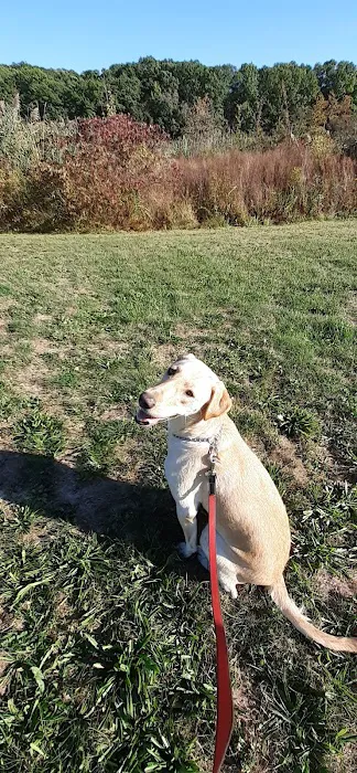 Mountain Lore Animal Hospital Picture 4