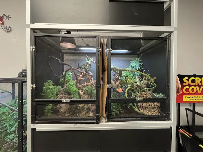Family Reptiles Picture 2