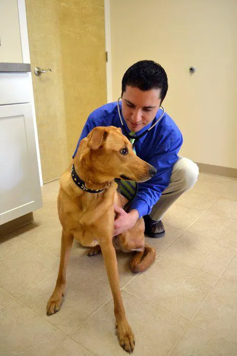 Progressive Animal Wellness Picture 5