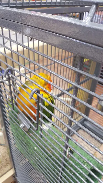 Pet Supermarket Picture 3