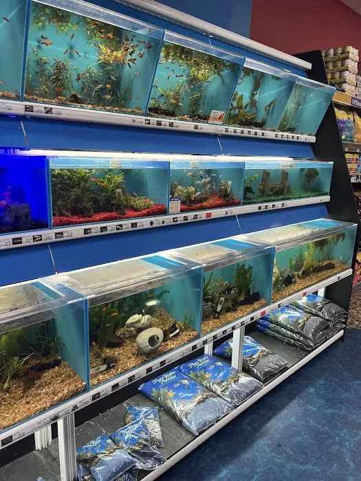 Pet Supermarket Picture 5