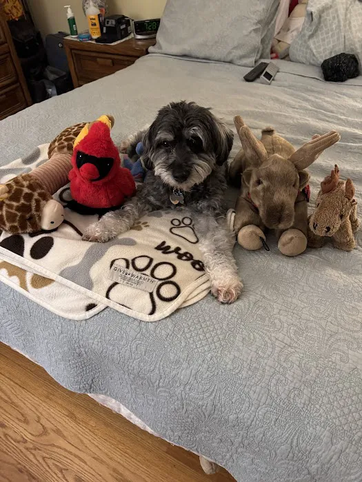 Hopmeadow Animal Hospital Picture 4