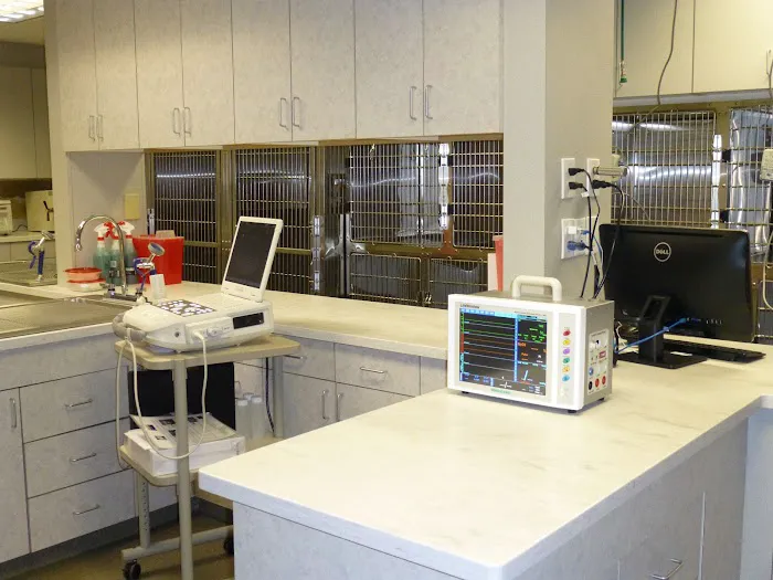 Avon Veterinary Emergency Referral Picture 2