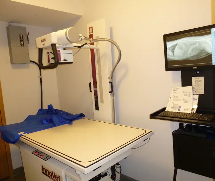 Avon Veterinary Emergency Referral Picture 7