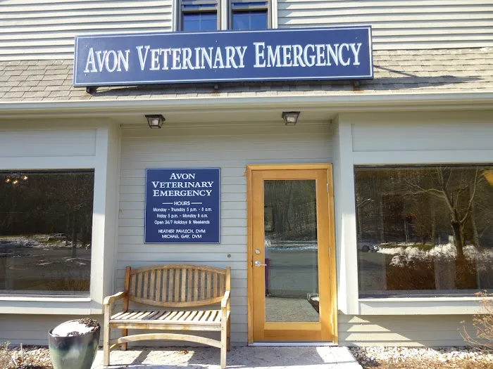 Avon Veterinary Emergency Referral Picture 6
