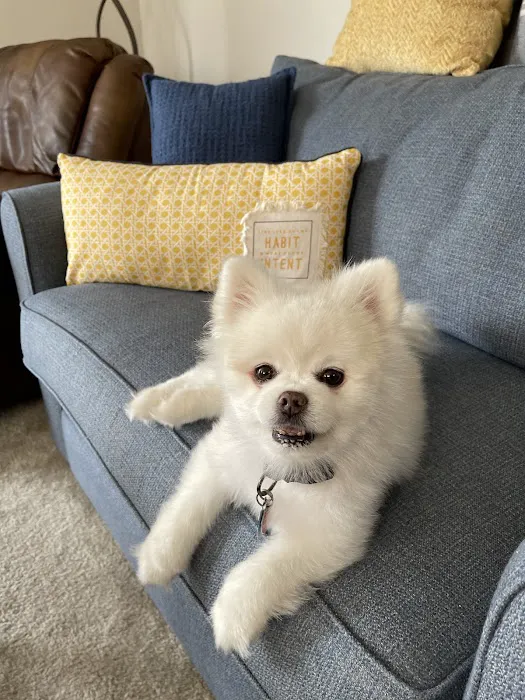 Petco Picture 2