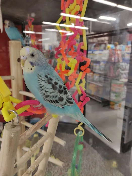 Petco Picture 1