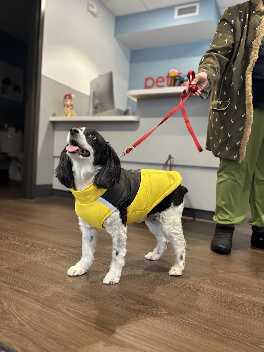 PetMedic Albany - Urgent Care Vet Clinic Picture 8