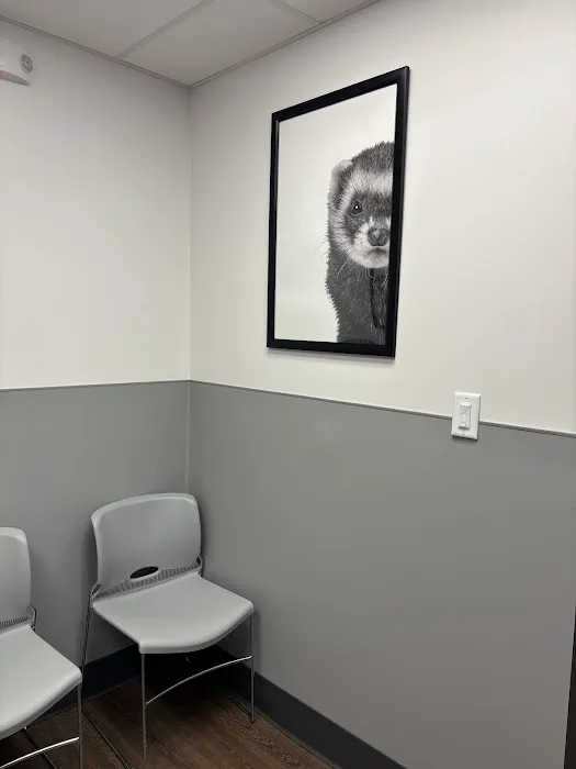 PetMedic Albany - Urgent Care Vet Clinic Picture 6