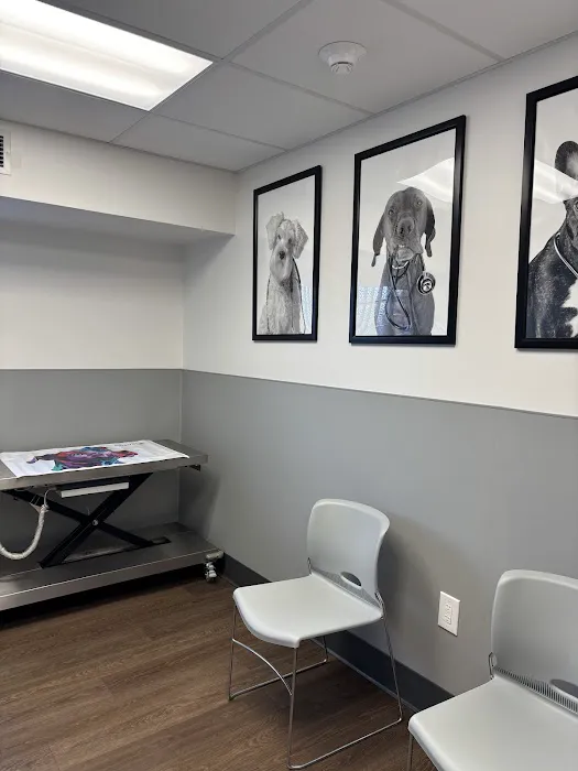 PetMedic Albany - Urgent Care Vet Clinic Picture 7