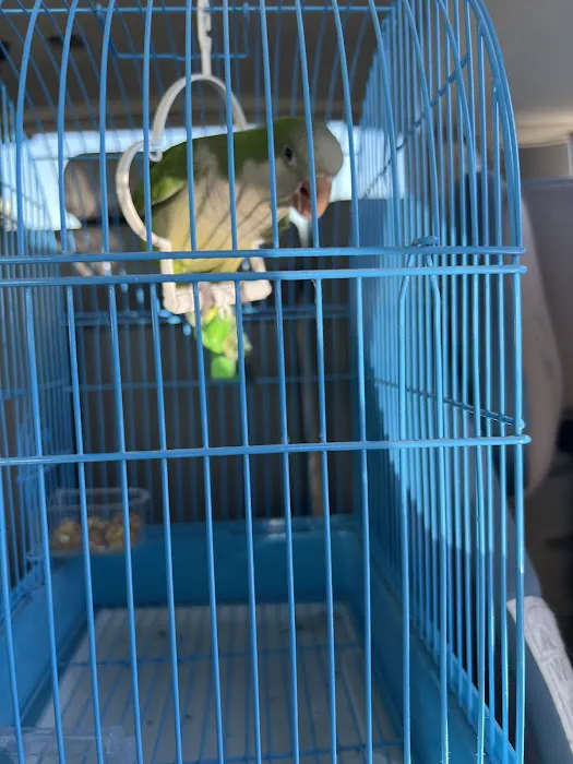 Junior Pet Shop Picture 1