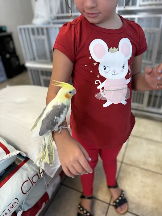 Junior Pet Shop Picture 3