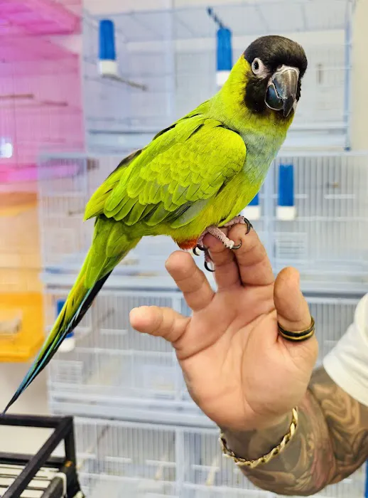 Junior Pet Shop Picture 2