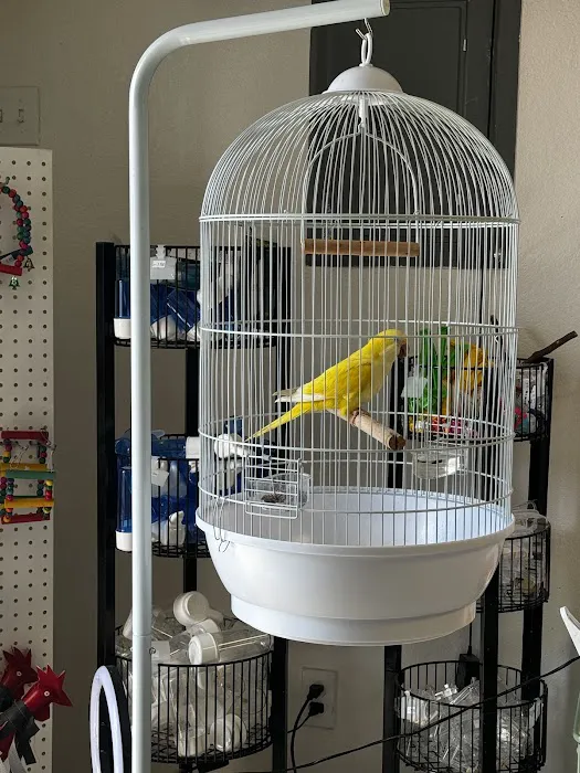 Junior Pet Shop Picture 9