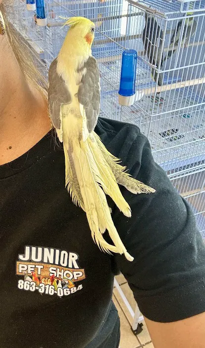 Junior Pet Shop Picture 7