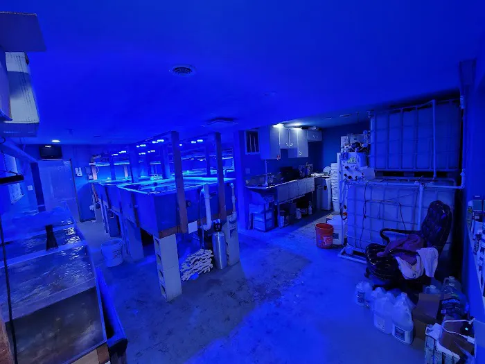 Life Oceanic Picture 10