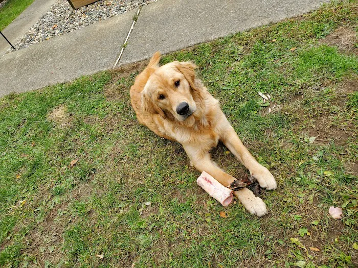 Companion Animal Medical Center Picture 9