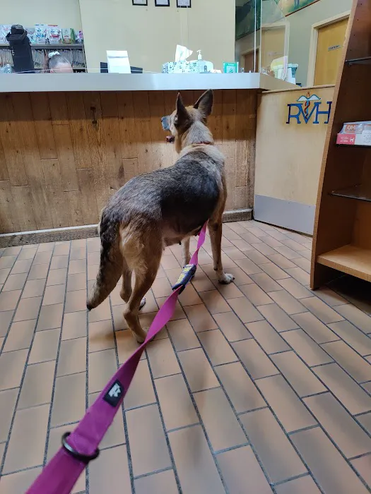 Rotterdam Veterinary Hospital Picture 5