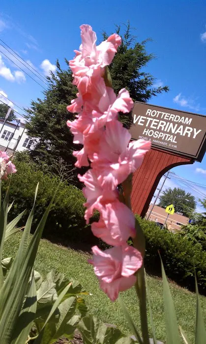 Rotterdam Veterinary Hospital Picture 6