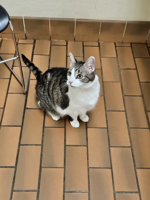 Rotterdam Veterinary Hospital Picture 7