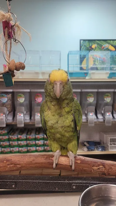 Just4BirdsII Picture 7