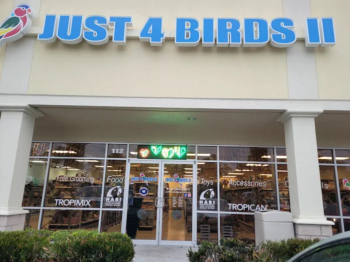 Just4BirdsII Picture 6