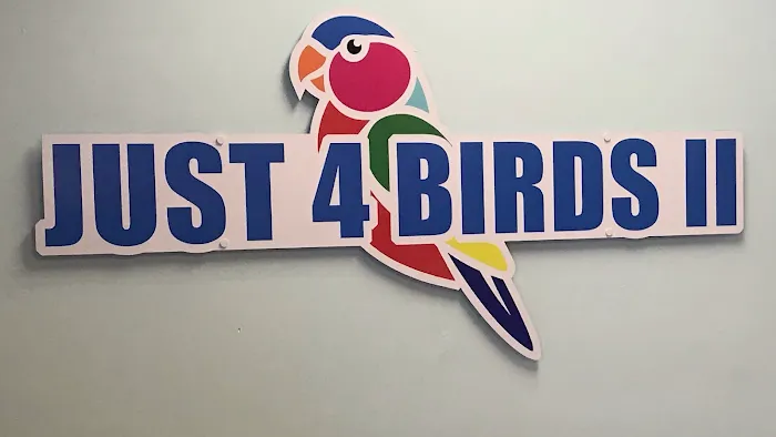 Just4BirdsII Picture 1