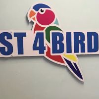 Just4BirdsII ico