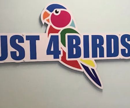 Just4BirdsII
