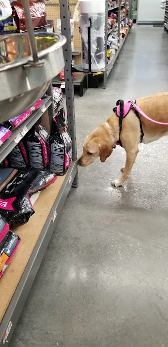 Pet Supplies Plus Land O'Lakes Picture 7