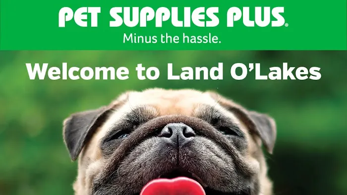 Pet Supplies Plus Land O'Lakes Picture 8
