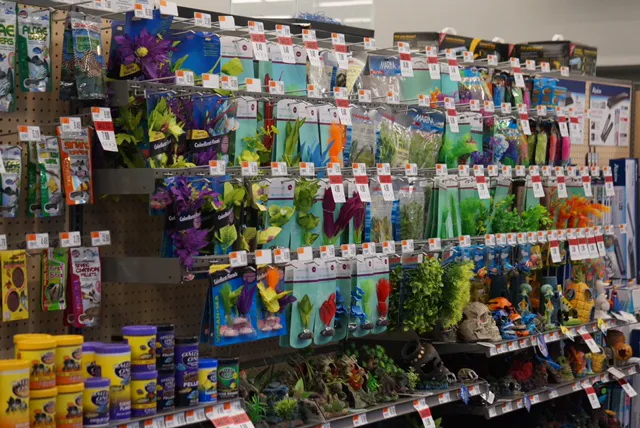 Pet Supplies Plus Land O'Lakes Picture 5