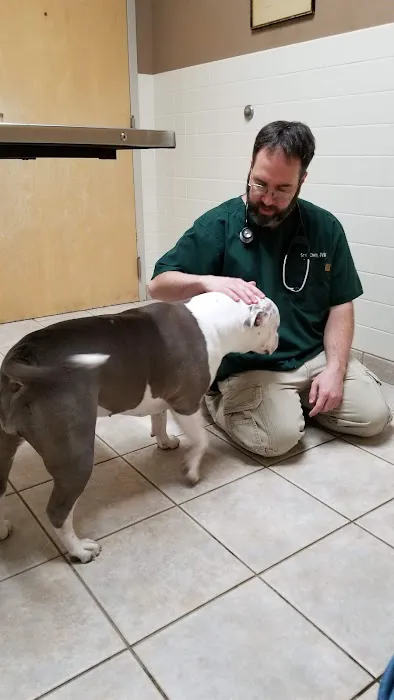 VCA Shaker Animal Hospital Picture 1