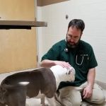 VCA Shaker Animal Hospital