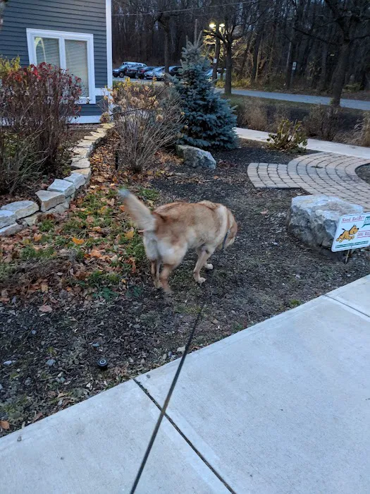 VCA Shaker Animal Hospital Picture 3