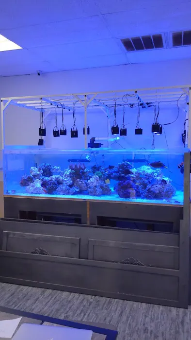 What's In Your Tank Picture 1