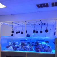 What's In Your Tank ico